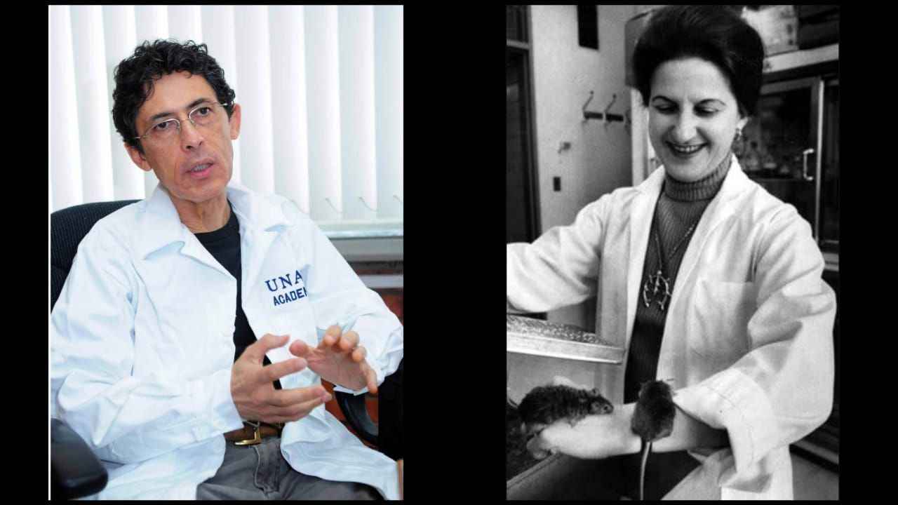 Luis Fernando Covarrubias Robles: de la Química a la Biología Molecular, del Desarrollo, y Beatrice Mintz