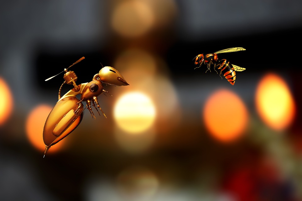 Los abejorros, la guerra y la mensajería